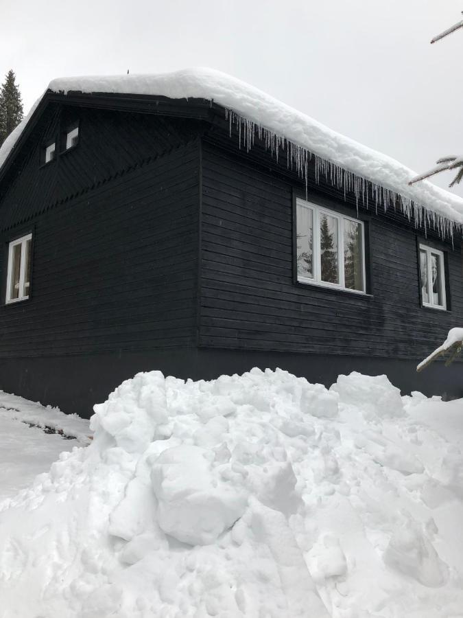 Apartmán Nordik 1496 Podbanská Exteriér fotografie